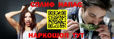 соль ск Можга